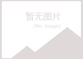 山阳区傲蕾美容有限公司